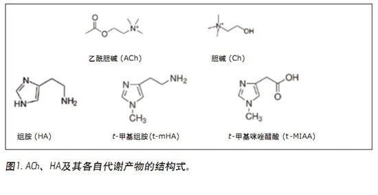 CORTECS UPLC HILICɫV_lһN܉XҺ(CSF)đAMxaͬrMжUPLC/MS/MSy