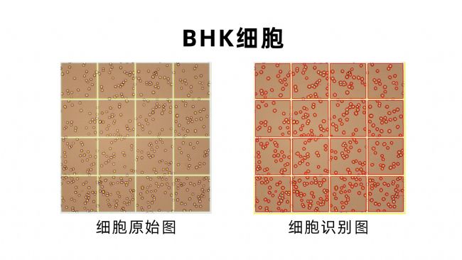 4-BHK.jpg