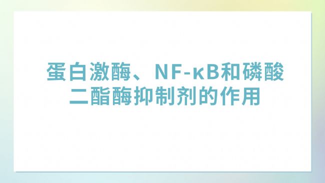 蛋白激酶、NF-κB和磷酸二酯酶抑制劑的作用