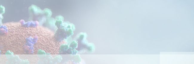 2916275494364387.jpg