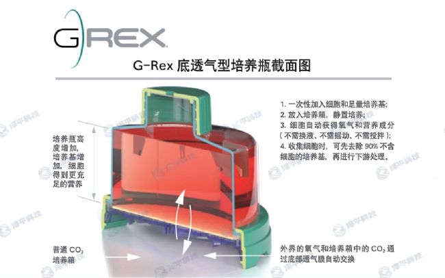 wilson wolf g-rex底透氣型細胞培養(yǎng)瓶 北京澤平